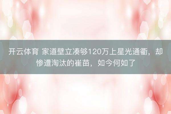开云体育 家道壁立凑够120万上星光通衢,却惨遭淘汰的崔苗,如今何如了