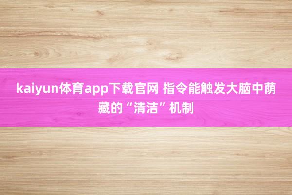 kaiyun体育app下载官网 指令能触发大脑中荫藏的“清洁”机制