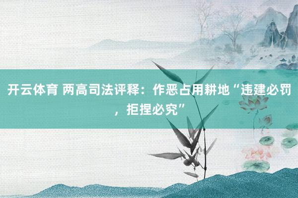 开云体育 两高司法评释：作恶占用耕地“违建必罚，拒捏必究”