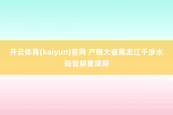 开云体育(kaiyun)官网 产粮大省黑龙江干涉水陆皆耕要津期