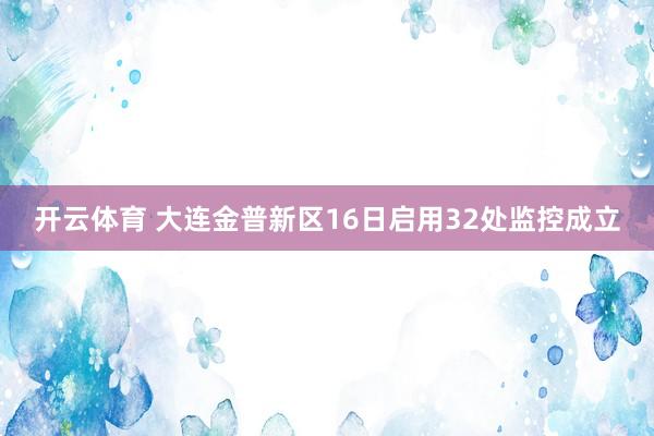 开云体育 大连金普新区16日启用32处监控成立