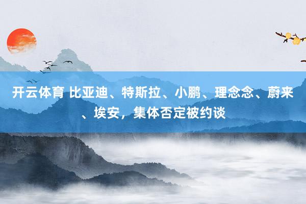 开云体育 比亚迪、特斯拉、小鹏、理念念、蔚来、埃安，集体否定被约谈
