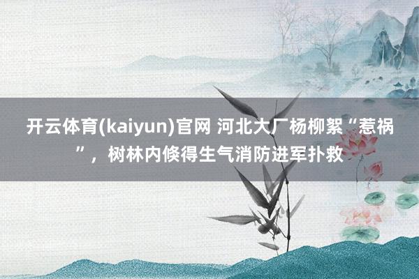 开云体育(kaiyun)官网 河北大厂杨柳絮“惹祸”，树林内倏得生气消防进军扑救