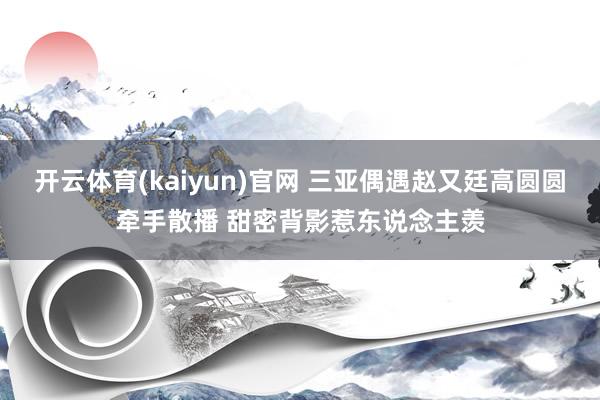 开云体育(kaiyun)官网 三亚偶遇赵又廷高圆圆牵手散播 甜密背影惹东说念主羡