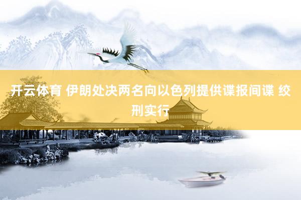 开云体育 伊朗处决两名向以色列提供谍报间谍 绞刑实行