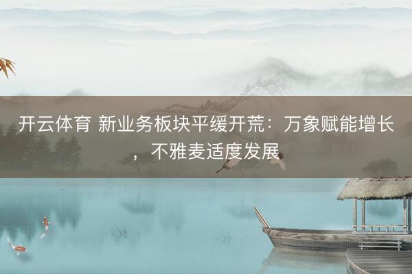 开云体育 新业务板块平缓开荒：万象赋能增长，不雅麦适度发展