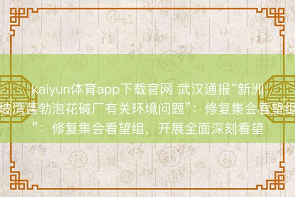 kaiyun体育app下载官网 武汉通报“新洲区李集街张信村黄土坡湾蓬勃泡花碱厂有关环境问题”：修复集会看望组，开展全面深刻看望