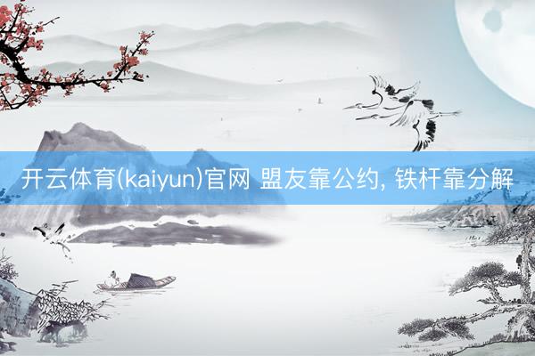 开云体育(kaiyun)官网 盟友靠公约， 铁杆靠分解