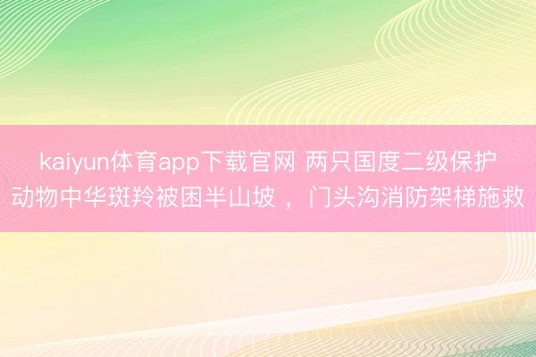 kaiyun体育app下载官网 两只国度二级保护动物中华斑羚被困半山坡 ，门头沟消防架梯施救